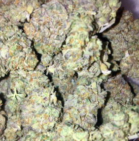 Royal Kush - 20g - Indica